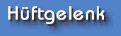 H�ftgelenk