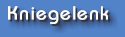 Kniegelenk